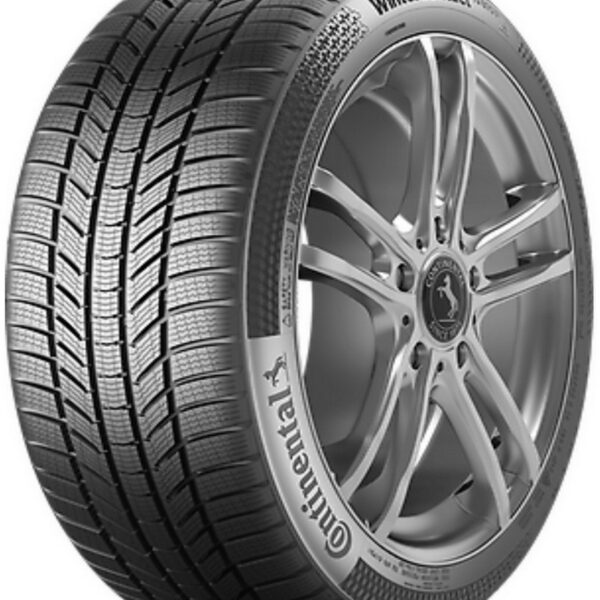 165/60R15 81T WINTER PRO TS1 XL MS 3PMSF (E-4.7) TOURADOR